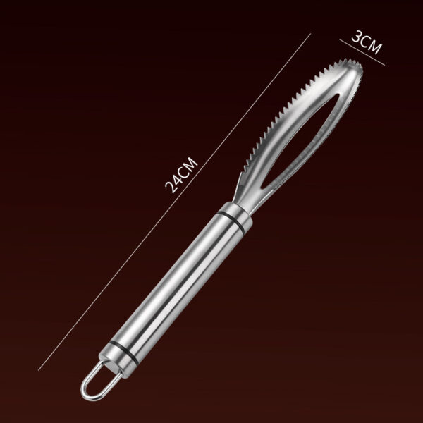 Stainless Steel Fish Scale Scrapper - Image 6