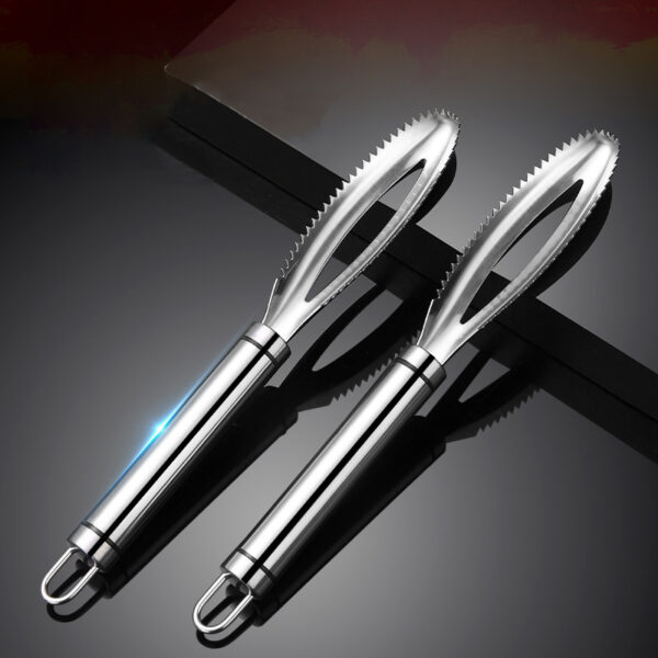 Stainless Steel Fish Scale Scrapper - Image 3